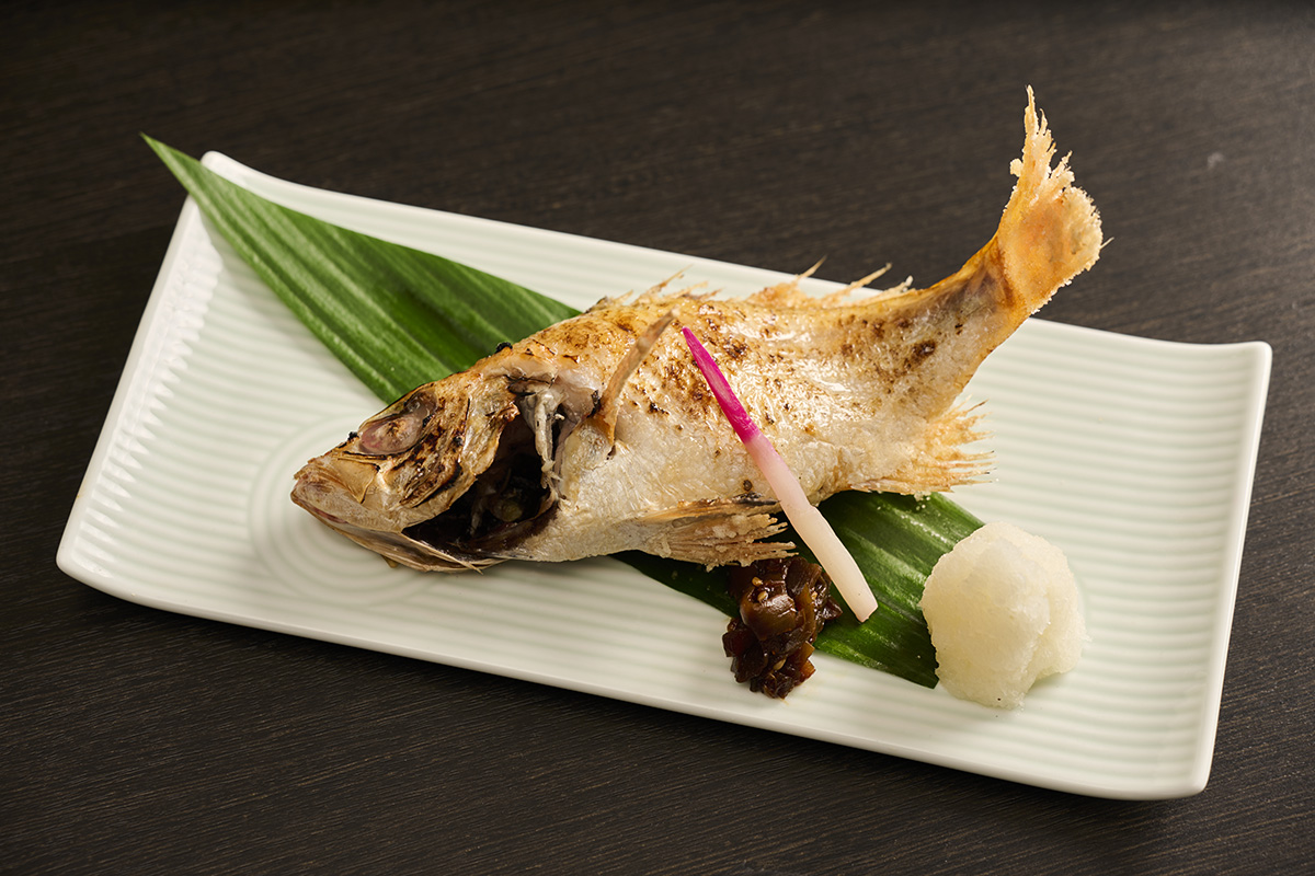 “白身のトロ”のどぐろ尽くしの夜。絶品「のどぐろ会席」と朝食ブッフェが付いた特別宿泊プランが登場